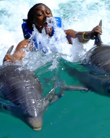 Dolphin Cove