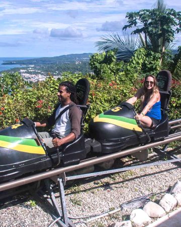 Mystic Mountain Rainforest
